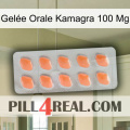 Gelée Orale Kamagra 100 Mg 26